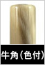 牛角(色付)